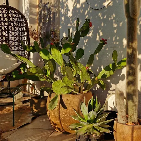 Artisan Design With The View Apartamento Dol (Hvar)